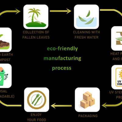 Eco Friendly