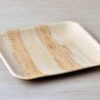 RudraEco-Export-Quality-Areca-Leaf-Square-Shallow-Plate-Bio-Degradable-Disposable-Plates-9-Inch-Set-of-40-1