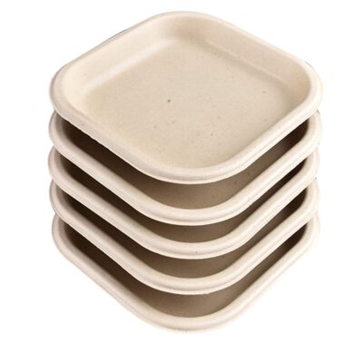 Chuk-BioDegradable-Disposable-and-Eco-Friendly-Snack-Plate-7-Inch-–-Set-of-25-2