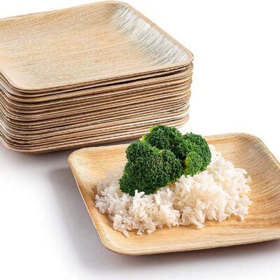 RudraEco-Export-Quality-Areca-Palm-Leaf-Square-Shallow-Plates-Biodegradable-Disposable-8-Inch-Set-of-40-2